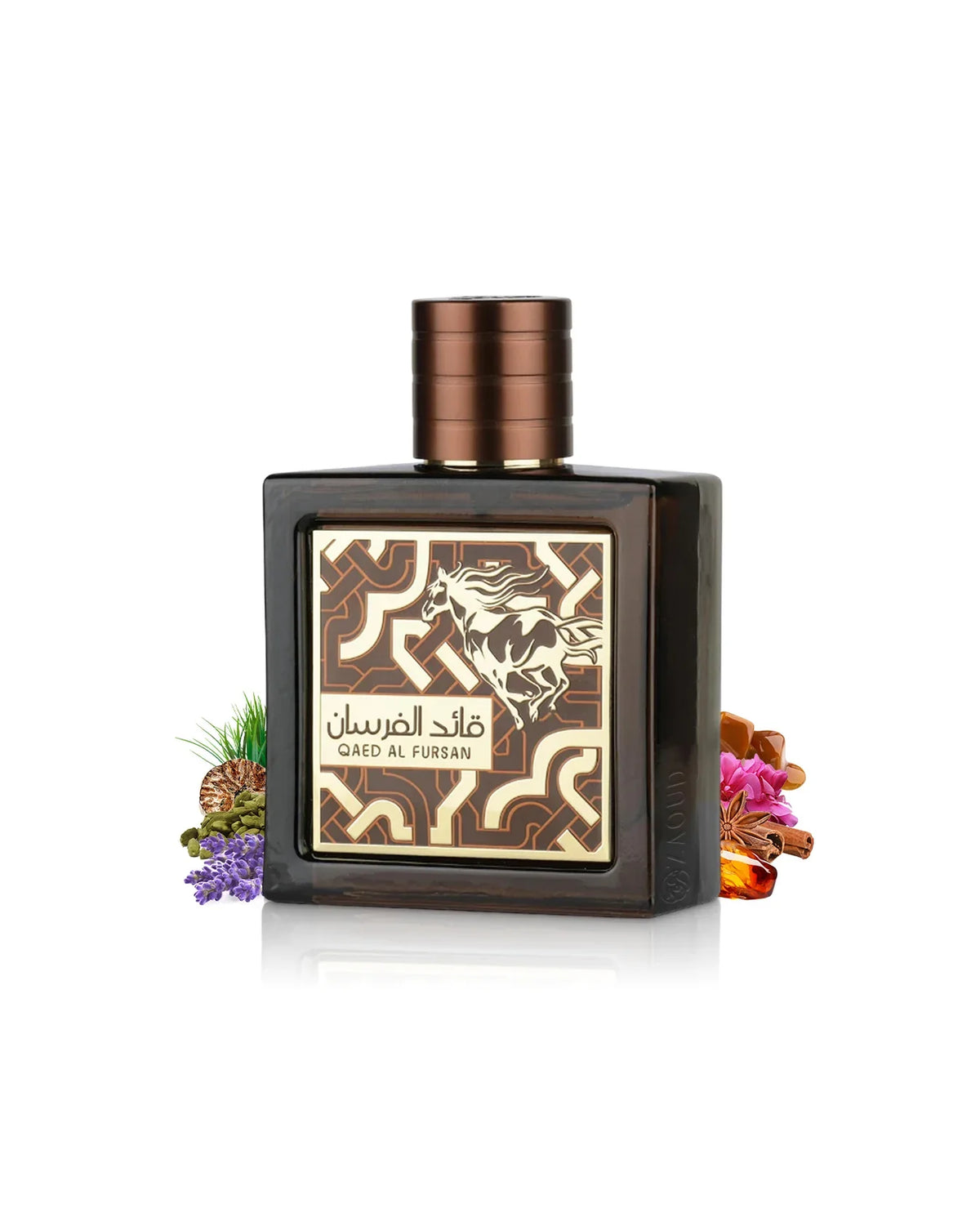 QAED AL FURSAN UNTAMED